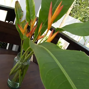 Villa Chalisa, Koh Tao